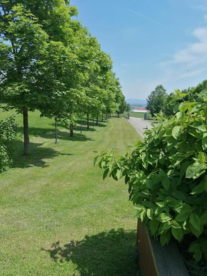Ferienwohnung Schuhmann Mit Wintergarten Und Garten Therme Aquapulco Und Ikuna Erlebnispark, Zoo Schmiding 20 Min Mit Auto Entfernt Ab 3 Naechte Buchbar Hinzenbach ภายนอก รูปภาพ